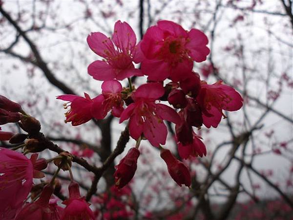 DSC04048.JPG