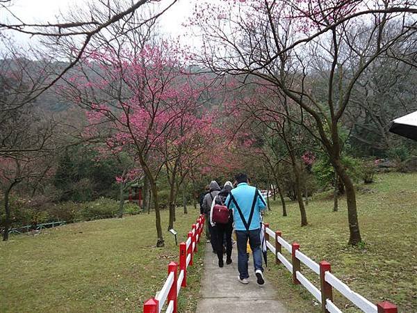 DSC04085.JPG