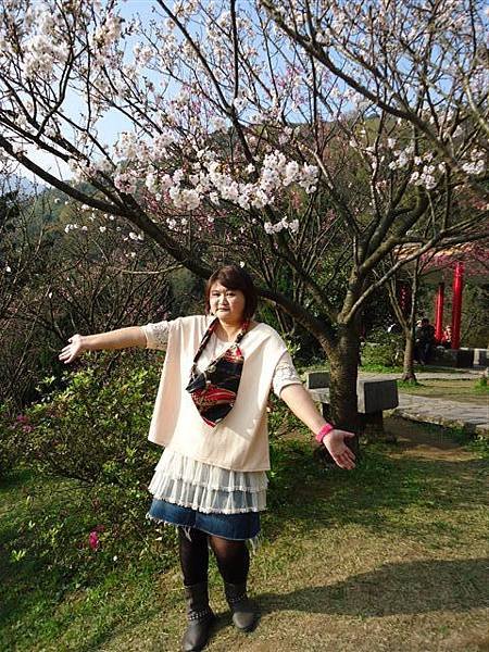 DSC00869
