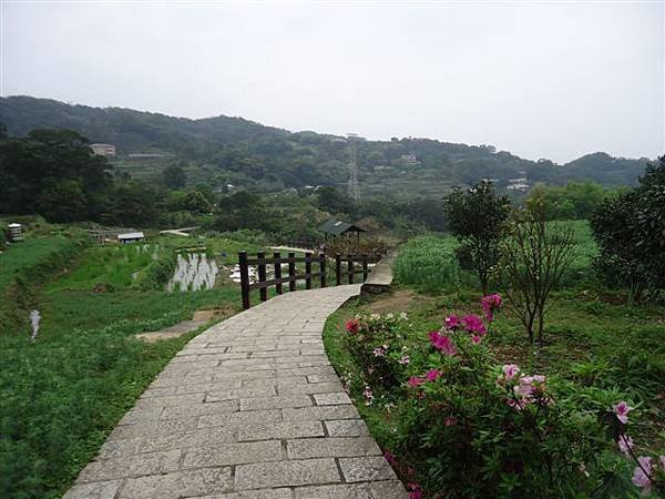 DSC03874.JPG