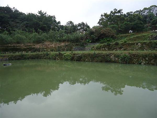 DSC03920.JPG