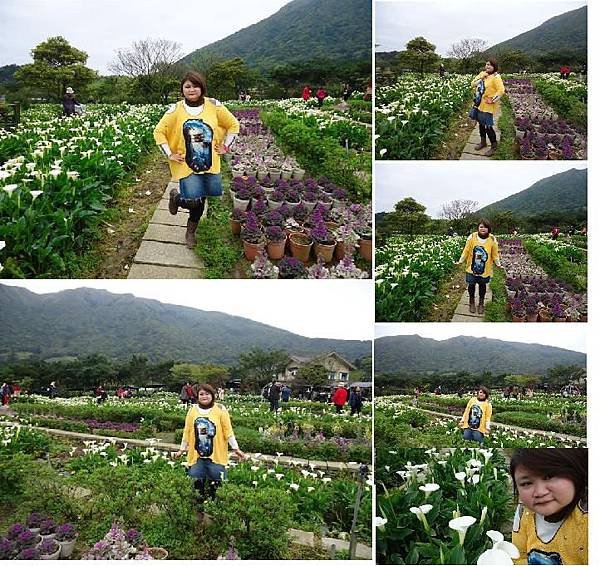 竹子湖6.JPG