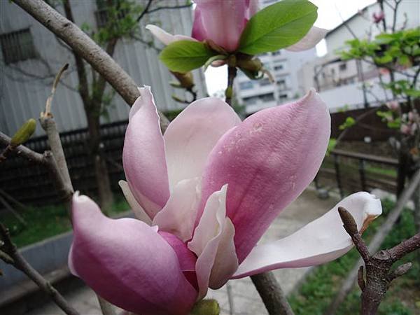 DSC01781.JPG