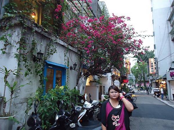 DSC08950.JPG
