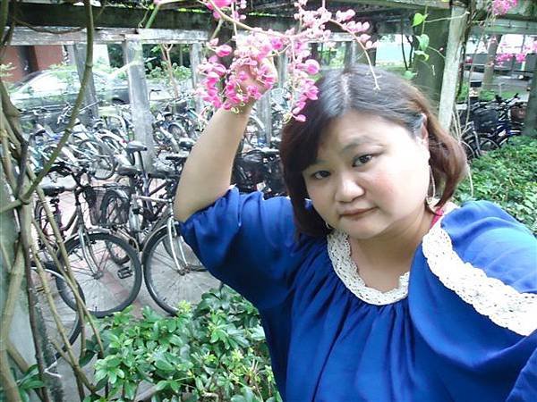 DSC07446