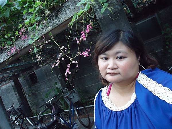 DSC07486