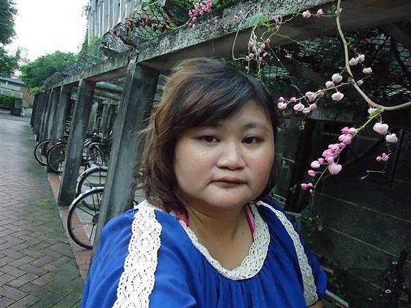 DSC07491