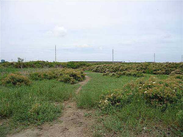 DSC09533.JPG