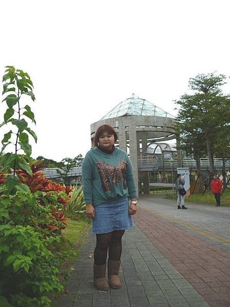 P2080417.JPG