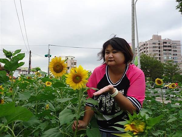 DSC03772.JPG