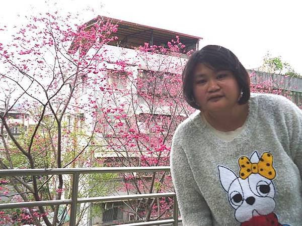 DSC01030