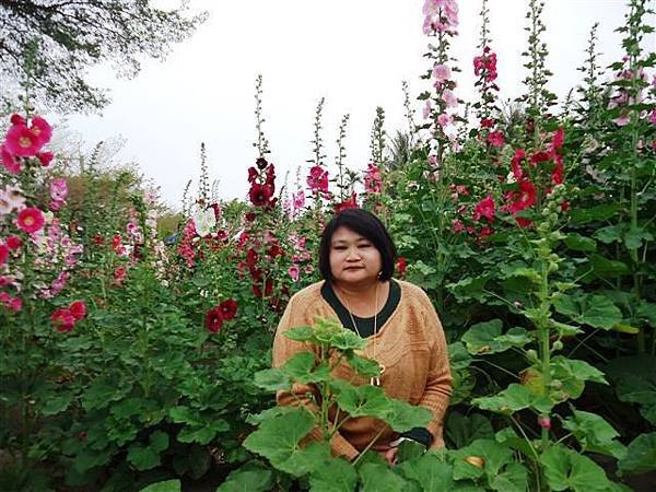DSC01987 (2)