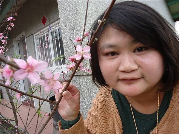 DSC02028