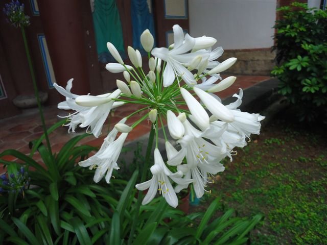 DSC01723.JPG