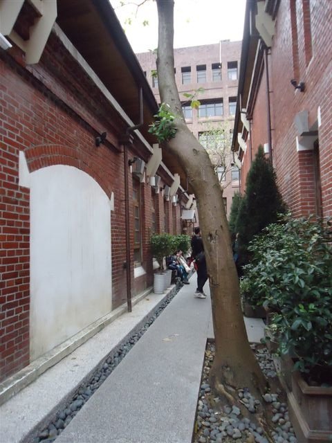 DSC04137.JPG