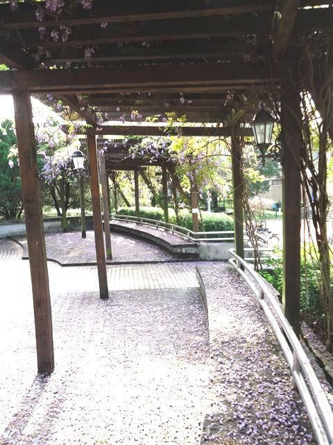 DSC06367.JPG