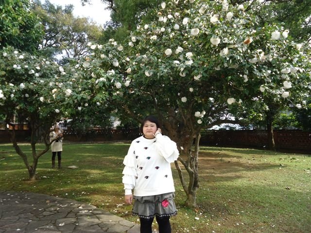 DSC00951