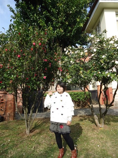 DSC00979