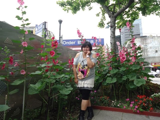 DSC04071.JPG