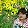 DSC00060.JPG