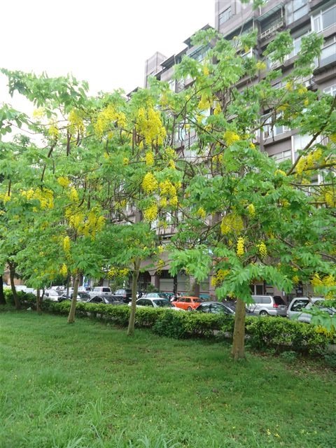 DSC00093.JPG
