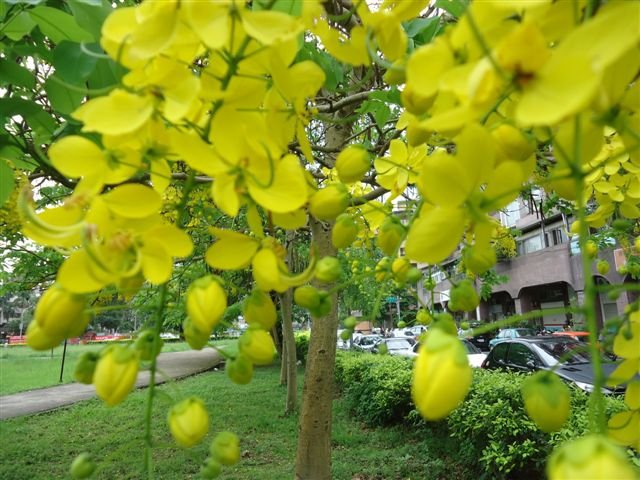 DSC00104.JPG