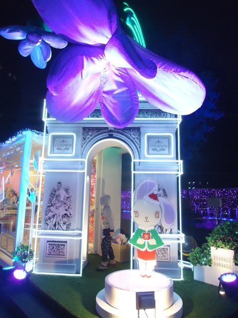 DSC00561 (2).JPG