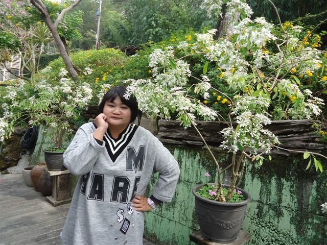DSC06097