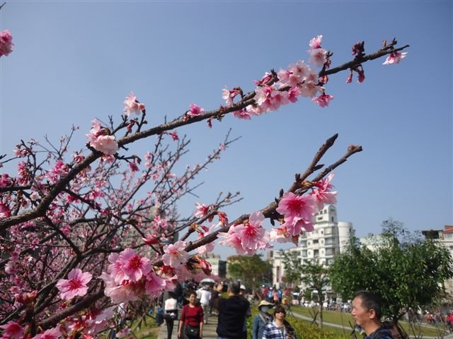 DSC03020.JPG