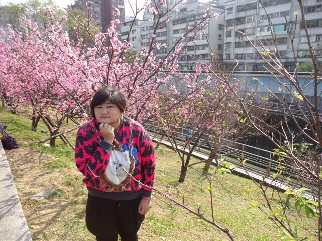 DSC03024.JPG