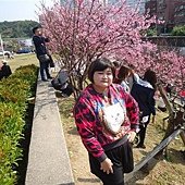 DSC03072.JPG