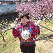 DSC03082.JPG