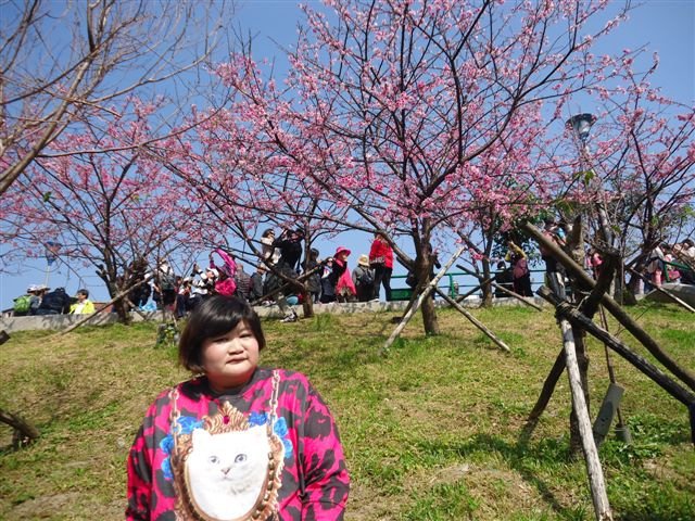 DSC03154.JPG