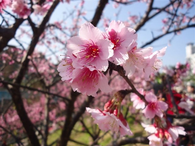 DSC03205.JPG