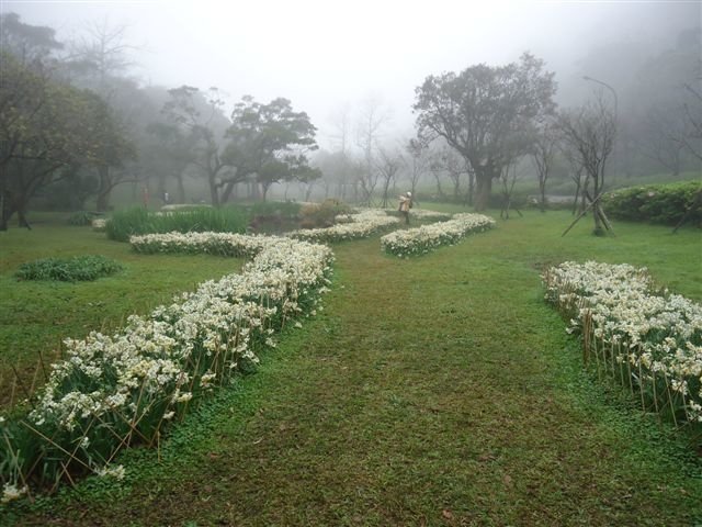 DSC07470.JPG