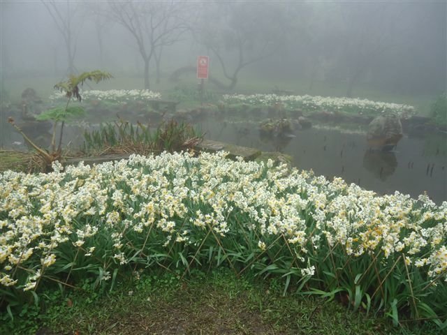 DSC07520.JPG