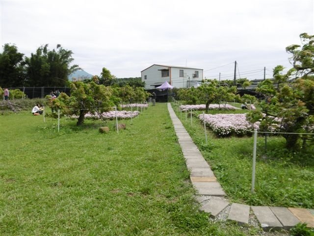 P1120967.JPG