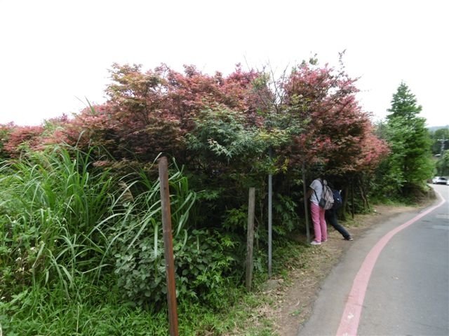 P1160272.jpg