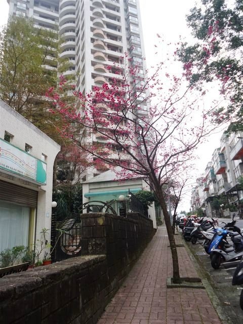 DSC05466.JPG