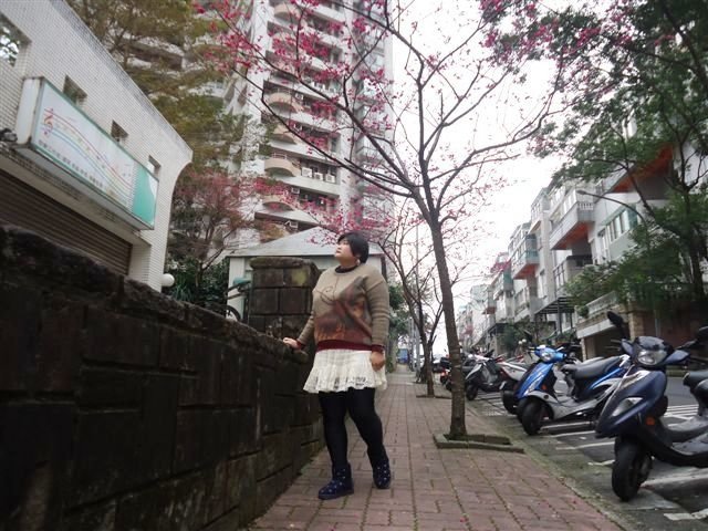 DSC05470.JPG