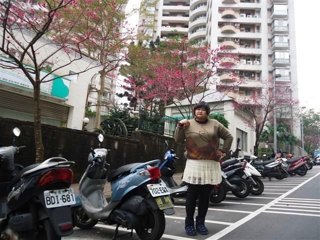 DSC05479.JPG