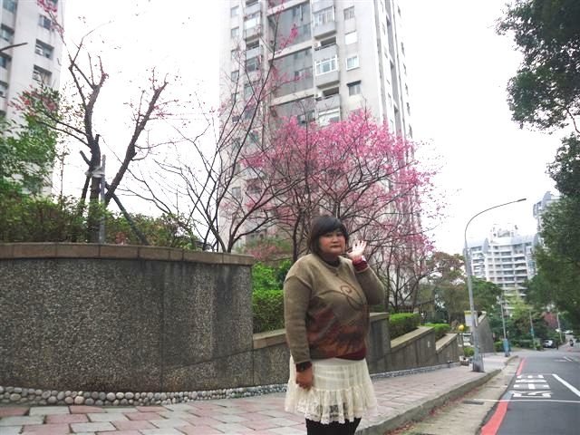 DSC05498.JPG