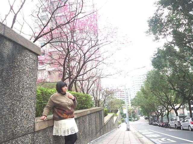 DSC05509.JPG