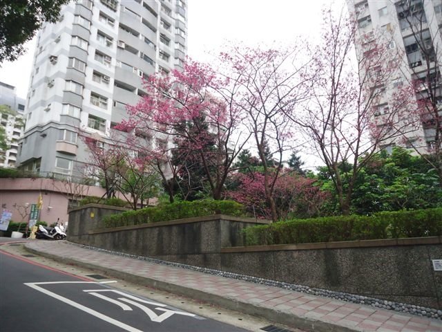 DSC05517.JPG