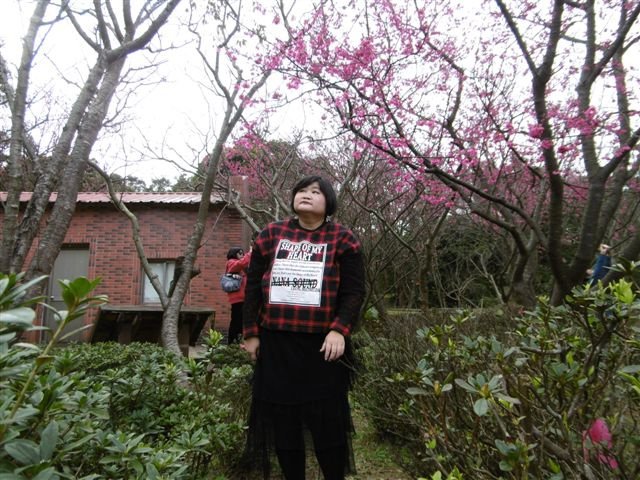 P1330500.JPG