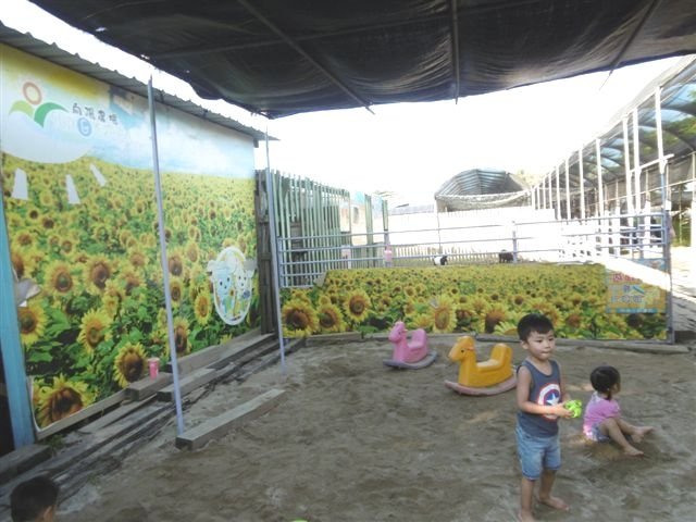 P1570007.JPG