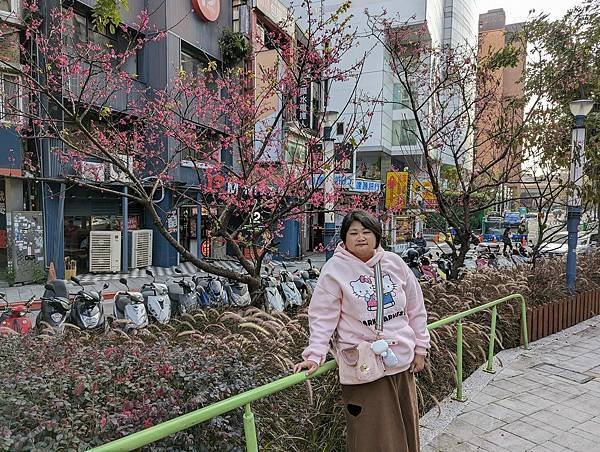 台北市/大安區/瑠公公園櫻花隨拍趣