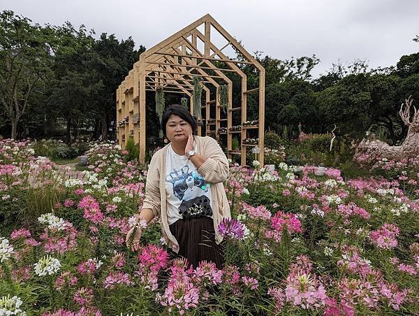 台北市/大安區/大安森林公園/醉蝶花之美