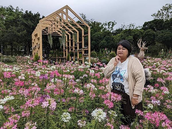 台北市/大安區/大安森林公園/醉蝶花之美