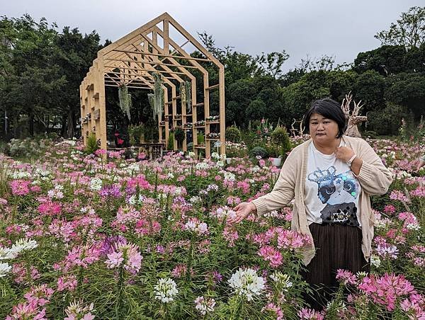 台北市/大安區/大安森林公園/醉蝶花之美